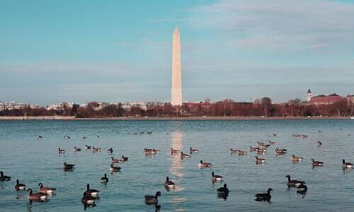 Washington Monument, Washington DC (Image: Pexels / Samad Ismayilov)