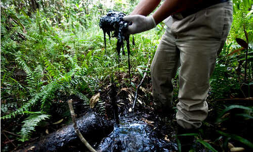 (Picture: Rainforest Action)