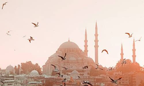 Istanbul (Image: Caner Cankisi / Pexels)